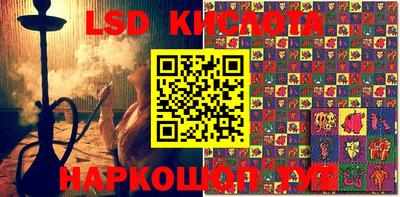 2c-b Камышлов
