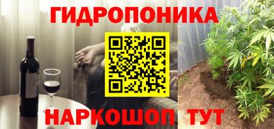 2c-b Камышлов